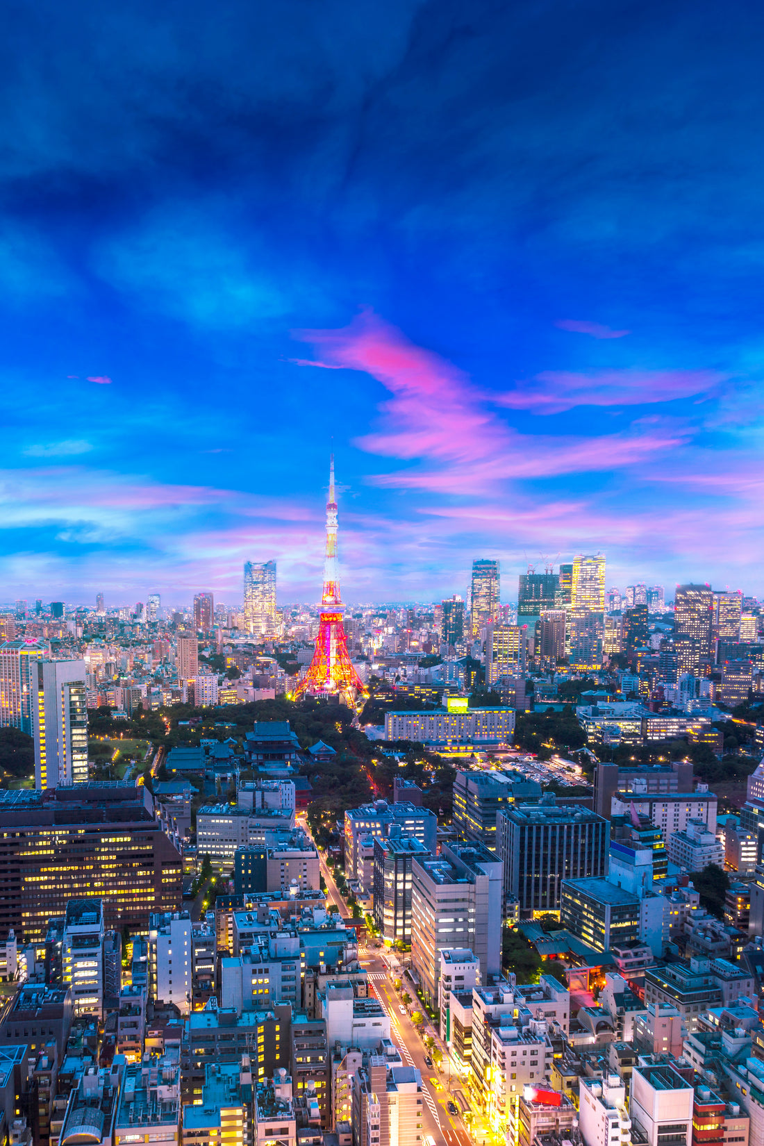 Why Tokyo, Japan Should Be Your Top Destination for the End of the Year