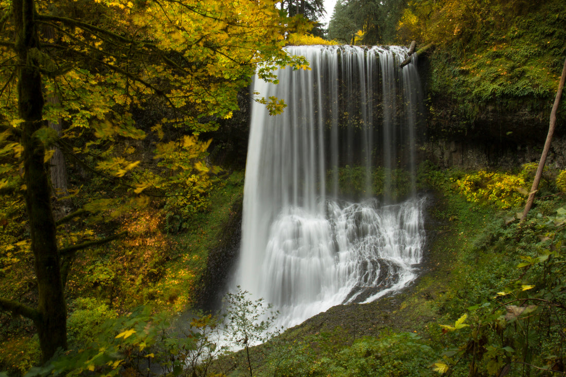 Discover the Waterfalls of Silver Falls State Park