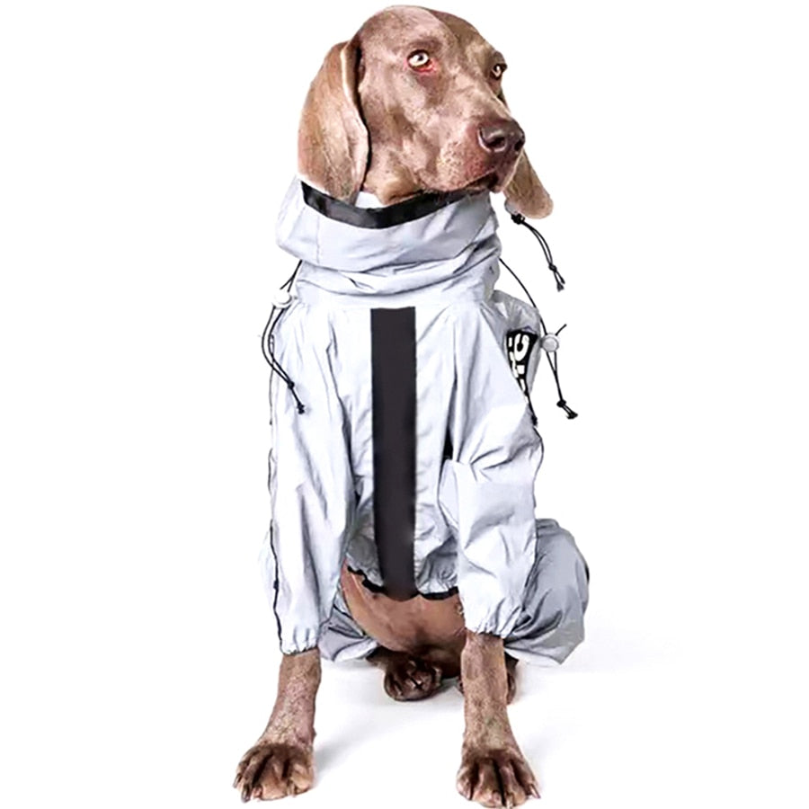 RadiantRover Reflective Pooch Cloak