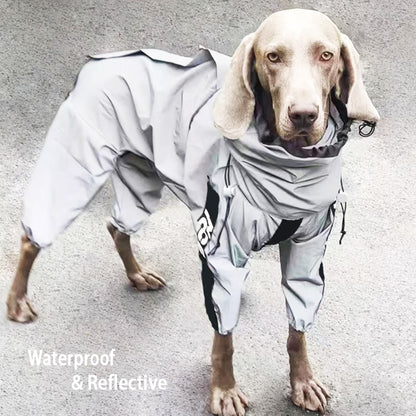 RadiantRover Reflective Pooch Cloak